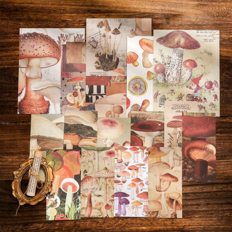 Kit complet scrapbooking pour adulte 6